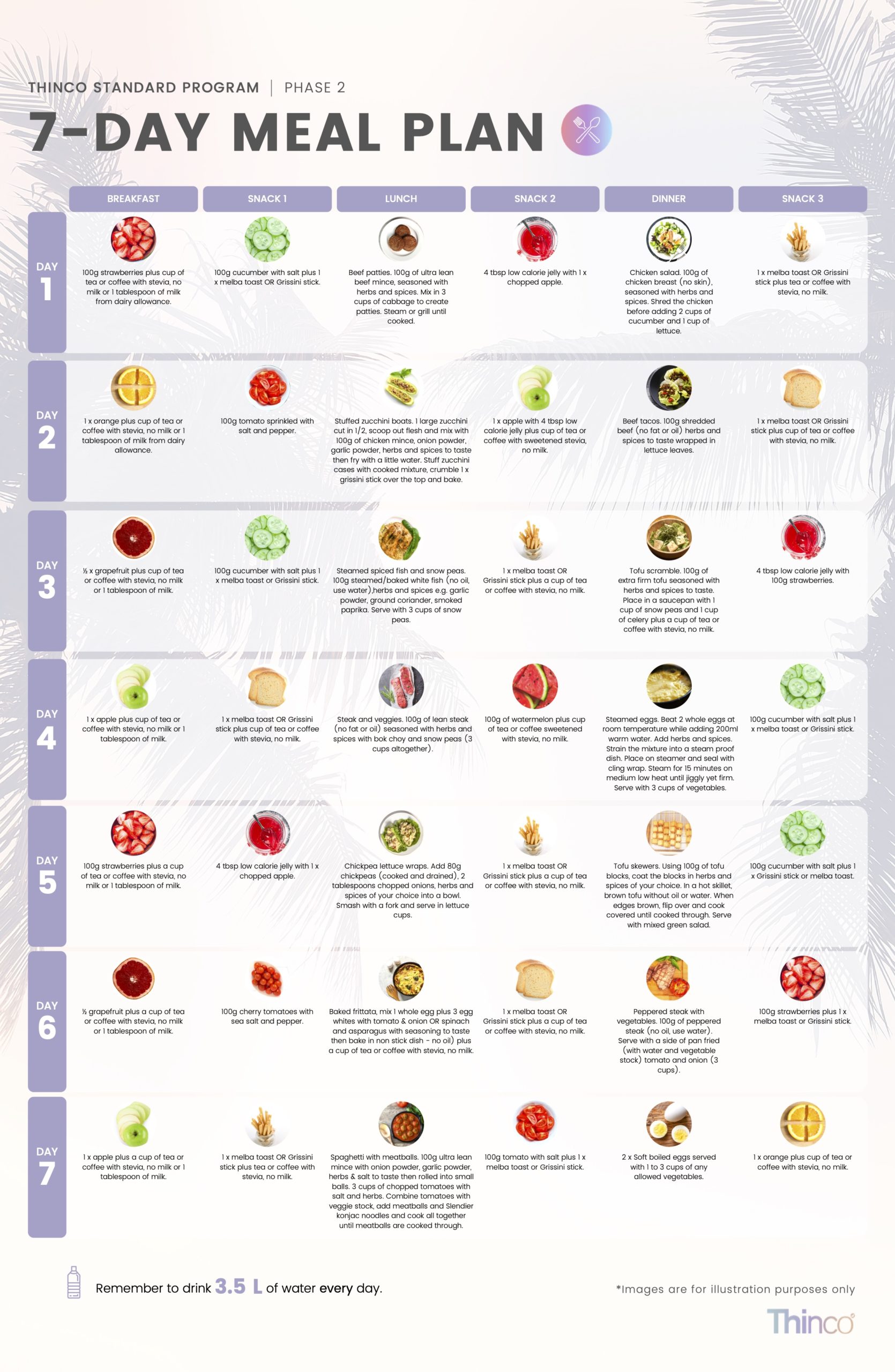 Diet Meal Plan Example Download PDF Thinco