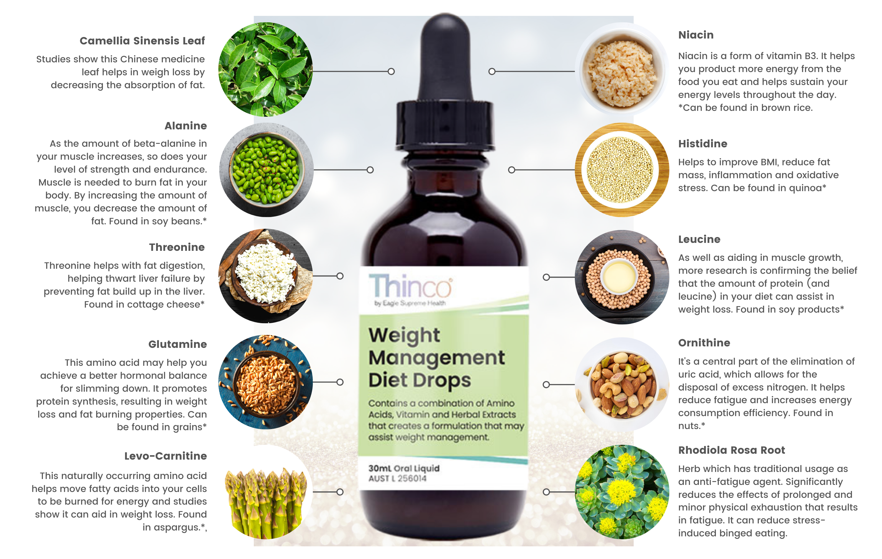 vegan weight loss meal plan