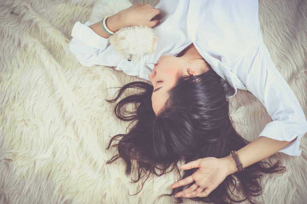 thinco sleeping dog
